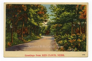 Image description is not available for PHO-264-799